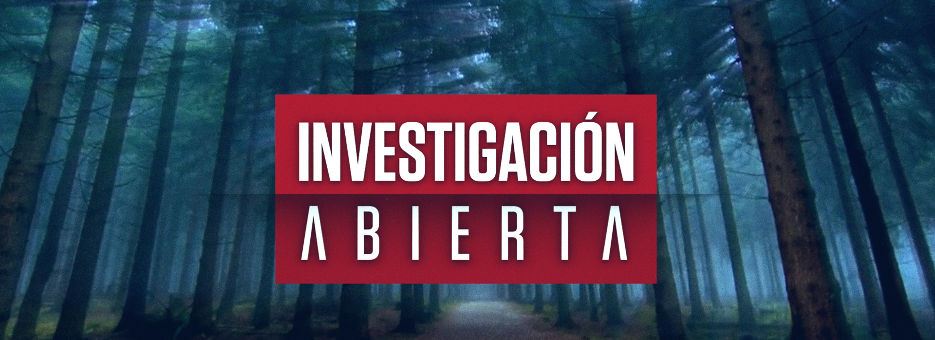 INVESTIGACIÓN ABIERTA